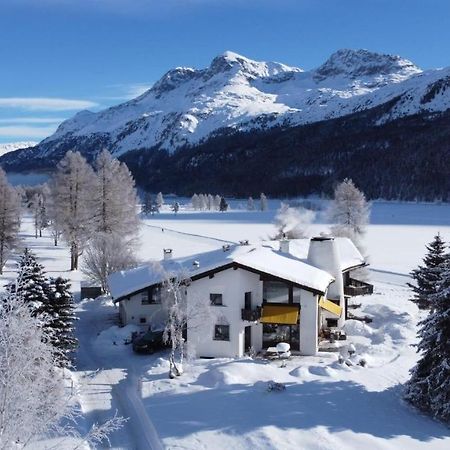 Appartement Chesa Suot Ovas à Sils-Maria Extérieur photo